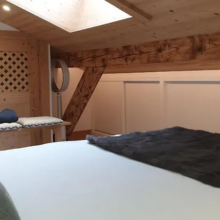 Apartment Le Teddy Bear - Duplex 3 Chambres Ski-in *